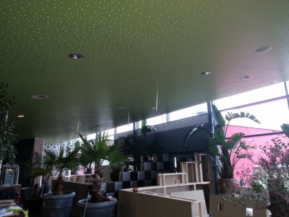 Foto: Cube Palm