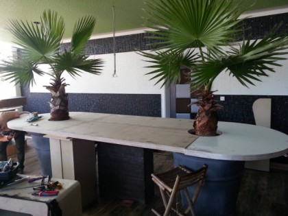 Foto: Cube Palm